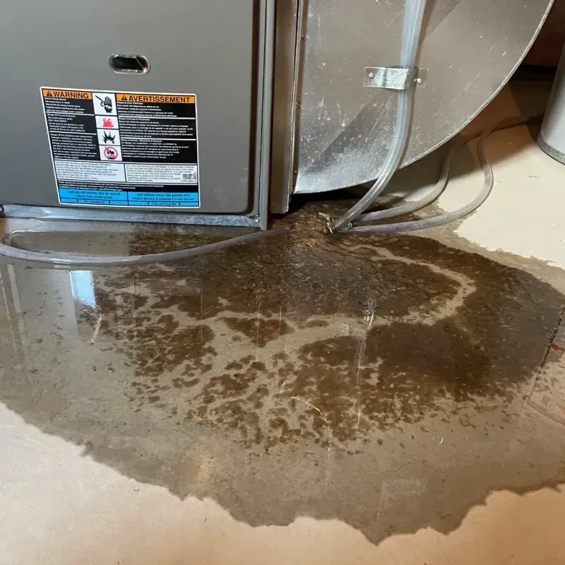 Appliance Leak Cleanup in Tucson, AZ